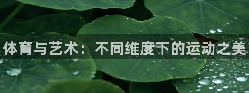 杏运平台注册入口：体育与艺术：不同维度下的运动之美