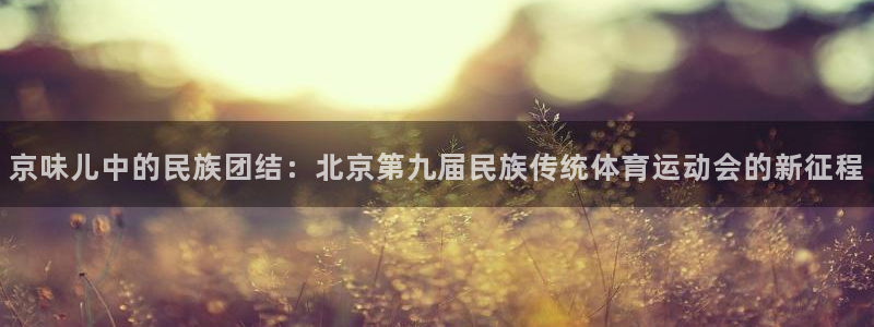 杏运vk：京味儿中的民族团结：北京第九届民族传统体育运动会的新征程