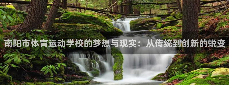 杏运达贝：南阳市体育运动学校的梦想与现实：从传统到创新的蜕变