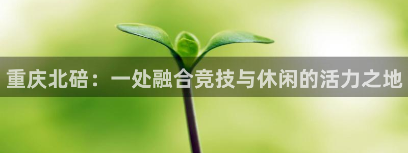 杏运平台招商：重庆北碚：一处融合竞技与休闲的活力之地