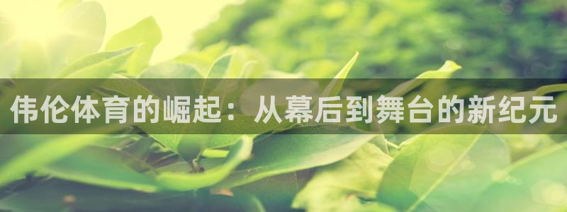 杏运体育凯捷登陆：伟伦体育的崛起：从幕后到舞台的新纪元