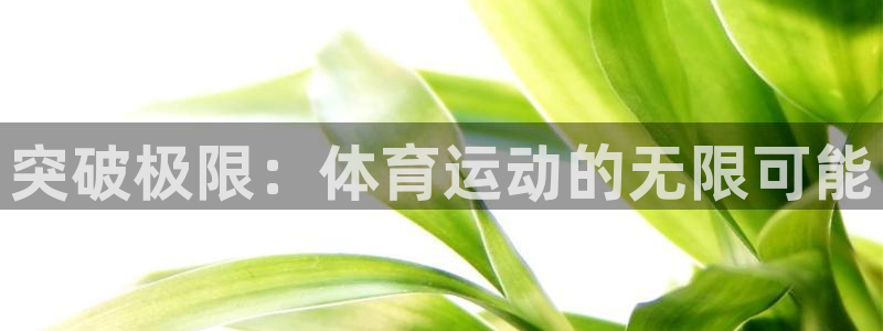 杏运集团官网：突破极限：体育运动的无限可能