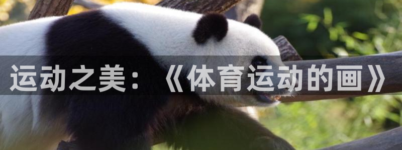 杏运平台主管：运动之美：《体育运动的画》