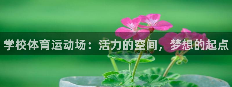 杏运体育凯捷登陆：学校体育运动场：活力的空间，梦想的起点