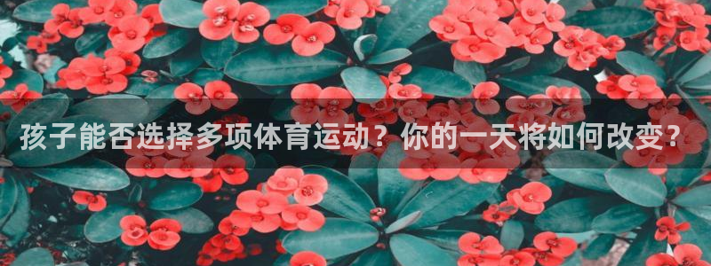 杏运达贝在哪买：孩子能否选择多项体育运动？你的一天将如何改变？