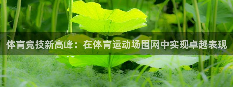 杏运2代理注册：体育竞技新高峰：在体育运动场围网中实现卓越表现