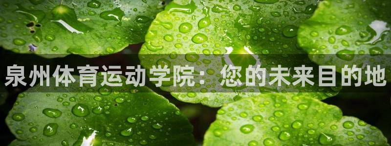 杏运体育f开号：泉州体育运动学院：您的未来目的地