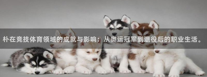 杏运达贝钙是什么：朴在竞技体育领域的成就与影响：从奥运冠军到退役后的职业生活。