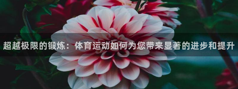 杏运汽车：超越极限的锻炼：体育运动如何为您带来显著的进步和提升