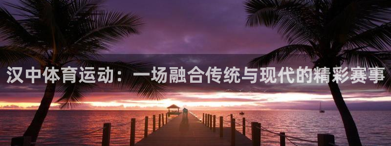 杏运3登录：汉中体育运动：一场融合传统与现代的精彩赛事