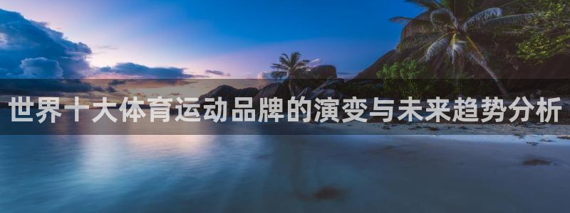 杏运体育1招商：世界十大体育运动品牌的演变与未来趋势分析