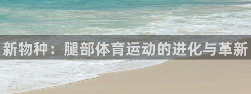杏运体育凯捷登陆：新物种：腿部体育运动的进化与革新