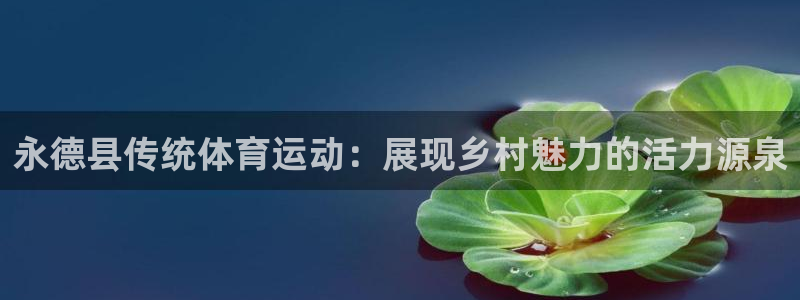 屯杏运饮料：永德县传统体育运动：展现乡村魅力的活力源泉