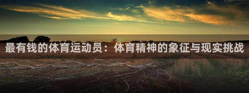 杏运体育：最有钱的体育运动员：体育精神的象征与现实挑战