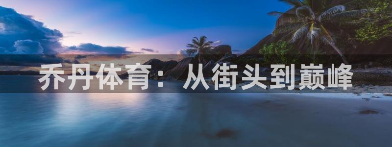 屯杏运饮料：乔丹体育：从街头到巅峰