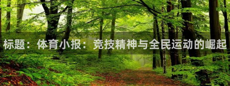 杏运体育注册：标题：体育小报：竞技精神与全民运动的崛起