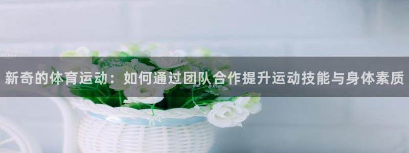 杏运体育3：新奇的体育运动：如何通过团队合作提升运动技能与身体素质