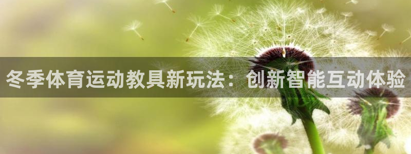 山东杏运新能源汽车有限公司：冬季体育运动教具新玩法：创新智能互动体验