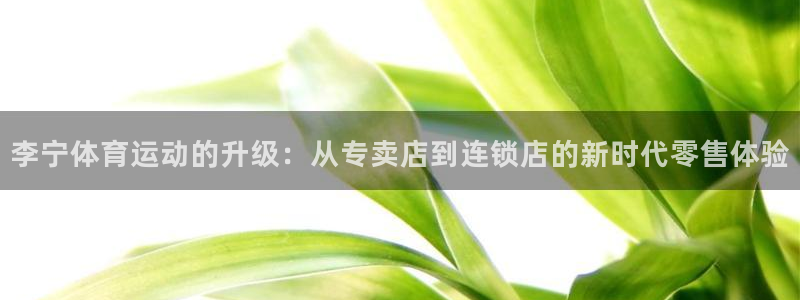杏运注册：李宁体育运动的升级：从专卖店到连锁店的新时代零售体验