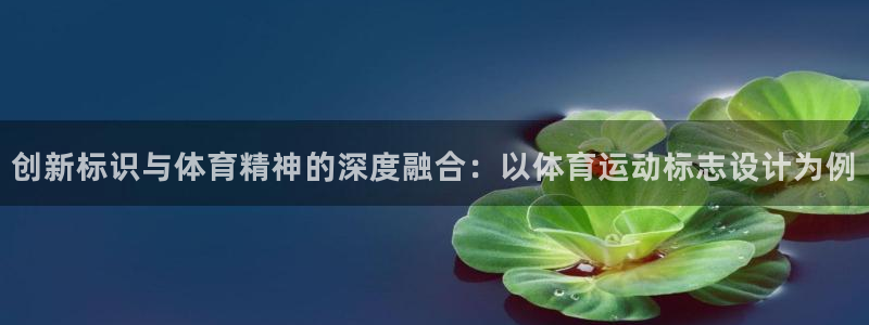 杏运体育合法嘛：创新标识与体育精神的深度融合：以体育运动标志设计为例