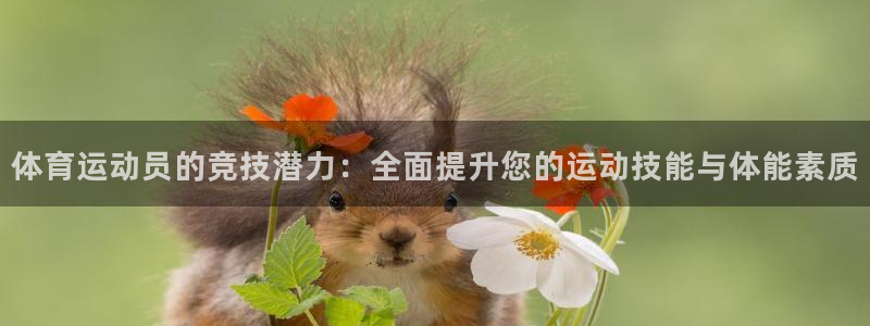 杏运礼盒：体育运动员的竞技潜力：全面提升您的运动技能与体能素质