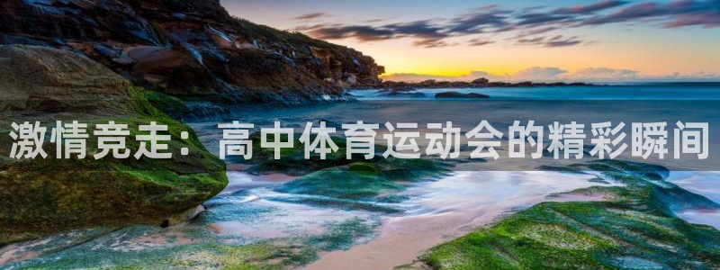 杏运4开户：激情竞走：高中体育运动会的精彩瞬间